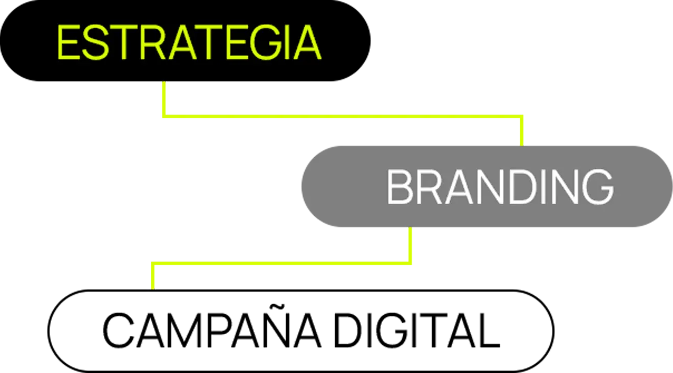 Estrategia, Branding y Campaña Digital